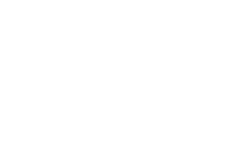 Pigeon-spaceport