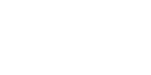 Pigeon-spaceport
